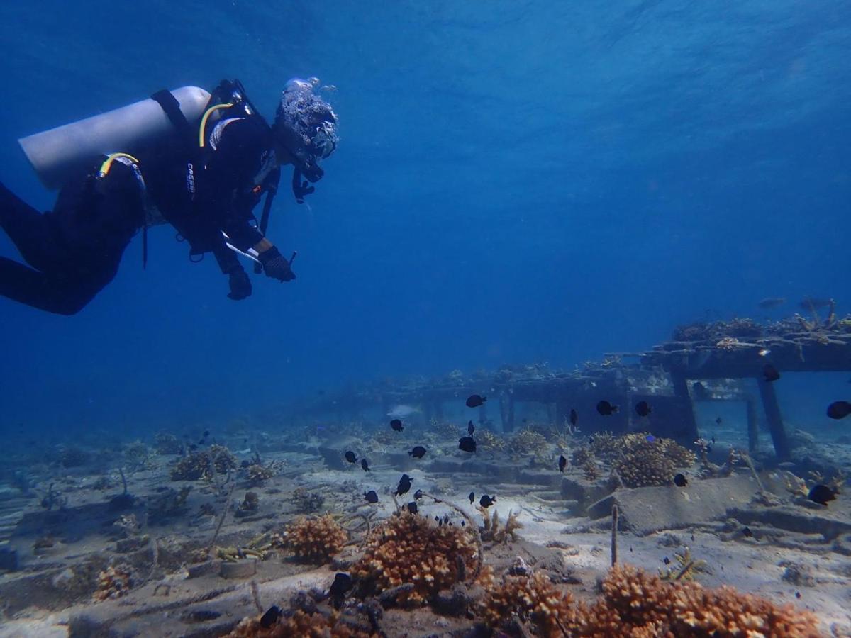 Alunan Resort Kampong Pasir Hantu Bagian luar foto